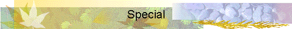 Special